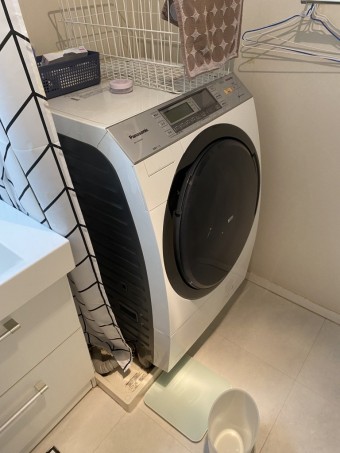 IMG_16581-e1721030543793